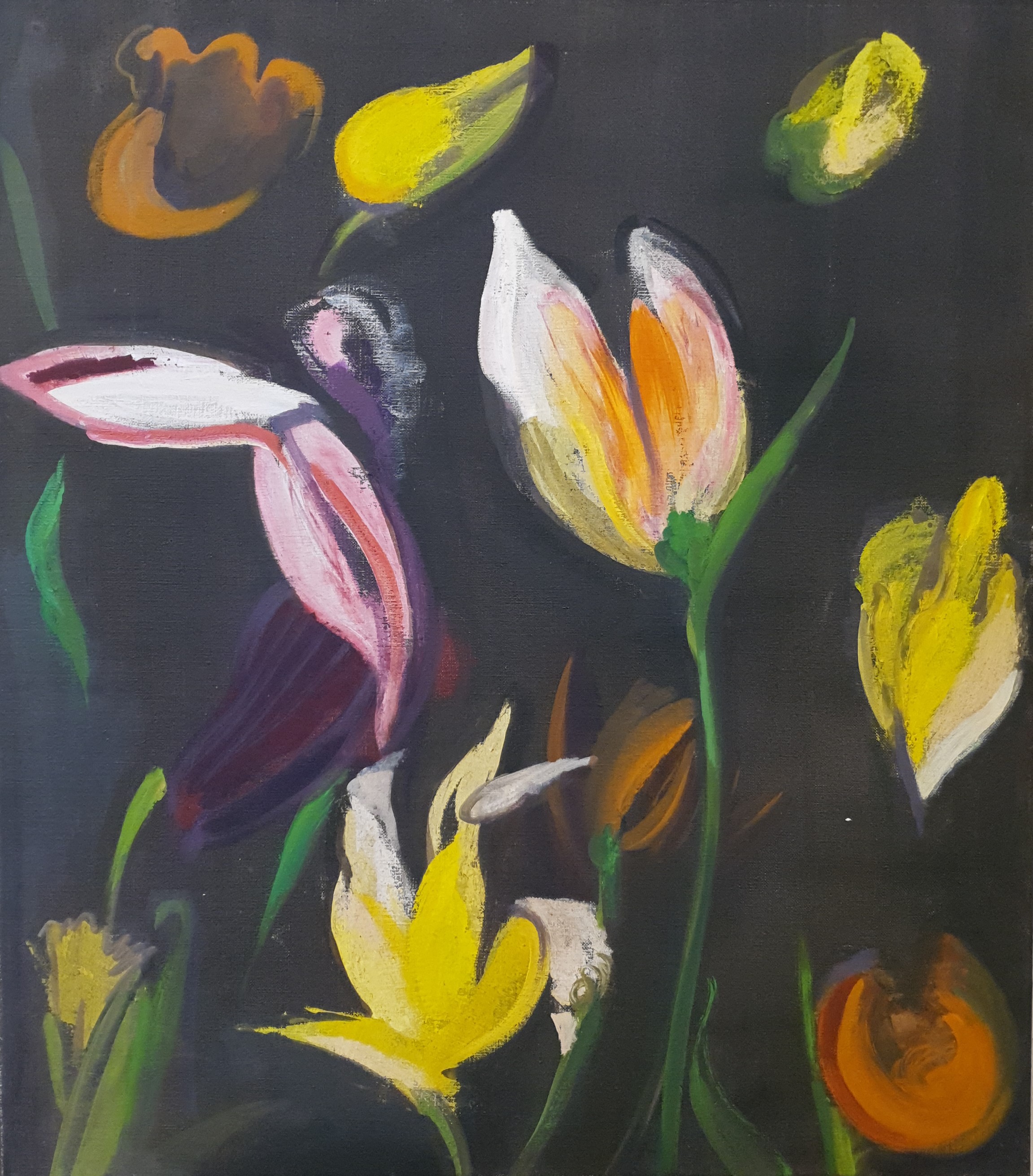 Blumen des Amazonien